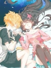 猫咪永久网站入