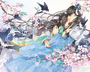 深入了解 白洁美红孙倩张敏